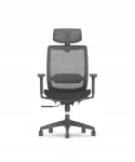 Kontoritool FLEXISPOT BS4, ergonoomiline, peatoega, hall, 136 kg