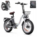 Elektriline jalgratas DRVETION CT20, 750W, 48V 20Ah, 55 km/h, 20" laiad rattad