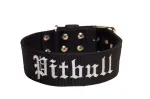 Koera kaelarihm Pitbull tikandiga, 5 cm lai, suurus M, 60 cm
