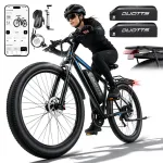 Elektrijalgratas DUOTTS C29-L, 48V 30Ah, 1000W, 29", kuni 55 km/h, kaks akut, h&uuml;draulilised pidurid, APP juhtimine