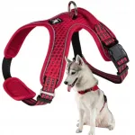 Koera rakmed VEGAS XS, hingavad, kerged