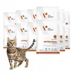 VET EXPERT INTESTINAL m&auml;rg kassitoit kanaliha ja veiselihaga, 12 x 100 g