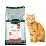 Kuiv kassitoit Baskerville Superpremium veiselihaga, ilma teradeta, 20 kg