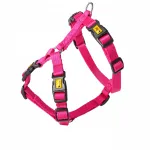 Koera rakmed Dingo Guard Energy, 4 klambrit, S, roosad