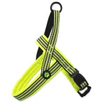 Koera rakmed ACTIVE DOG Neopreen, rohekas, suurus S