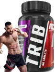 Toidulisand MACE Trib 100, 90 tabletti