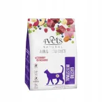 Kuiv kassitoit 4Vets Natural Gastro Intestinal, 2 x 1 kg