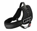 Koerte valjad SENIOR DOG, suurus S, 60&ndash;75 cm