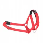 Koerte valjad AMIPLAY Basic XL, punased