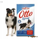 Kuiv koeratoit Otto Sprint Raggio di Sole sealiha maitsega, 9 kg