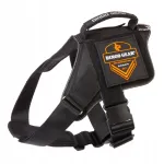 DINGO universaalsed mustad koera rakmed, M&ndash;XL