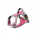 Koerte rakmed Dingo Dynamic Junior, suurus XS