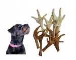CHICKEN PAW MIX koerte maiused, 20 tk, kana, 100% linnuliha
