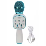 Juhtmevaba DS813 Bluetooth mikrofon kaja efektiga, 8 W