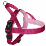 Koera rakmed Nobby Classic Preno, vaarikav&auml;rvi, S-M