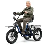 Elektriline kolmerattaline jalgratas APEFOX RH30, 500W, 25 km/h, 15 Ah, 18"