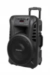 Aktiivne k&otilde;lar kahe UHF mikrofoniga, SD, Bluetooth, FM, USB, 40 W