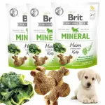 Koerte sn&auml;kid BRIT PUPPY, 450 g