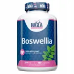 Toidulisand HAYA LABS Boston 250 mg 100 kapslit