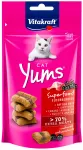 Vitakraft CAT YUMS kasside maius, 40 g
