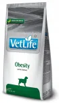 Koeratoit FARMINA Vet Life Obesity, 2 kg
