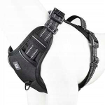 Reguleeritavad helkuriga mustad koera rakmed suurus XL