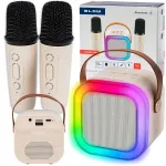 Kaasaskantav Bluetooth karaokek&otilde;lar RGB valgustusega, 2 mikrofoniga, USB, SD ja mini jack