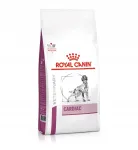 Royal Canin kuivtoit s&uuml;damehaigetele t&auml;iskasvanud koertele, 2 kg