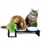 Kasside toidukausid Canadian Cat Cat Bar 2