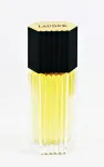Meeste l&otilde;hnavesi ESTEE LAUDER LAUDER FOR MEN 100 ml
