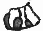 Jalutusrihm rakmetega kutsikatele, 33&ndash;47 cm, 2 m, 10 mm