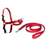 Koera rakmed PetSafe Easy Walk, punased, S suurus, rihmaga, t&otilde;mmevastased