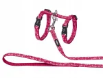 Kasside valjapidajad ja rihm Nobby "Flower Red", punased roosa mustriga
