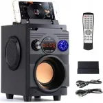 Kaasaskantav Bluetooth k&otilde;lar Feegar Showjet, 4000 mAh, raadio, AUX, USB, MP3, SD