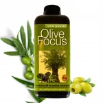 Olive Focus v&auml;etis oliivipuudele 1L Growth Technology