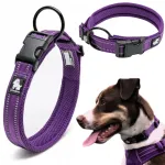 Valgust peegeldav koera kaelarihm Truelove Active, violetne, S suurus