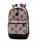 Kooli seljakott VANS, mitu taskut, 22 l, v&auml;rvikas