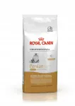 Kuiv kassitoit ROYAL CANIN Persian, 13 kg