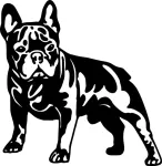 Taustata kleebis &bdquo;French Bulldog&ldquo; autole, 14,3 x 14 cm