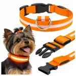 Valgust peegeldav reguleeritav LED koera kaelarihm, oranž, 34&ndash;42 cm