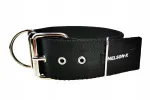 NELSON-X koera kaelarihm, 4 cm, reguleerimatu, 46&ndash;54 cm