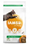 Kuiv kassitoit IAMS Adult lambalihaga, 3 kg
