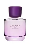 Naiste parf&uuml;&uuml;m ZARA GARDENIA 90 ml