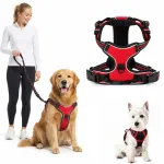 Koera valjad STRONG PREMIUM XL, punased
