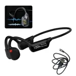 Juhtmevabad luu kaudu helikandvad k&otilde;rvaklapid, 32 GB, Real Bone, MP3