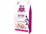 Kassitoit BRIT CARE Grain Free kutsikatele kalkuni- ja kanalihaga, 2 kg