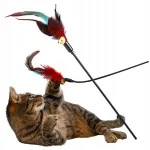 Kassim&auml;nguasi &ndash; &otilde;ng sulgedega, 52 cm