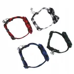 Lemmikloomade kaelarihmade komplekt, 4 tk, ruuduline, eemaldatav, NT pandlaga