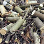 Champi TWIGS k&uuml;&uuml;likute toit, 800 g, haablipuu-, lepa- ja kaseoksad