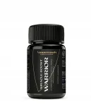 Energiat jook Vesantech Warrior shot